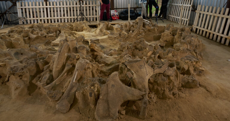 Еxpanding Our Knowledge of Ancient Times: How Modern Technologies Can Broaden Our Understanding of the Past