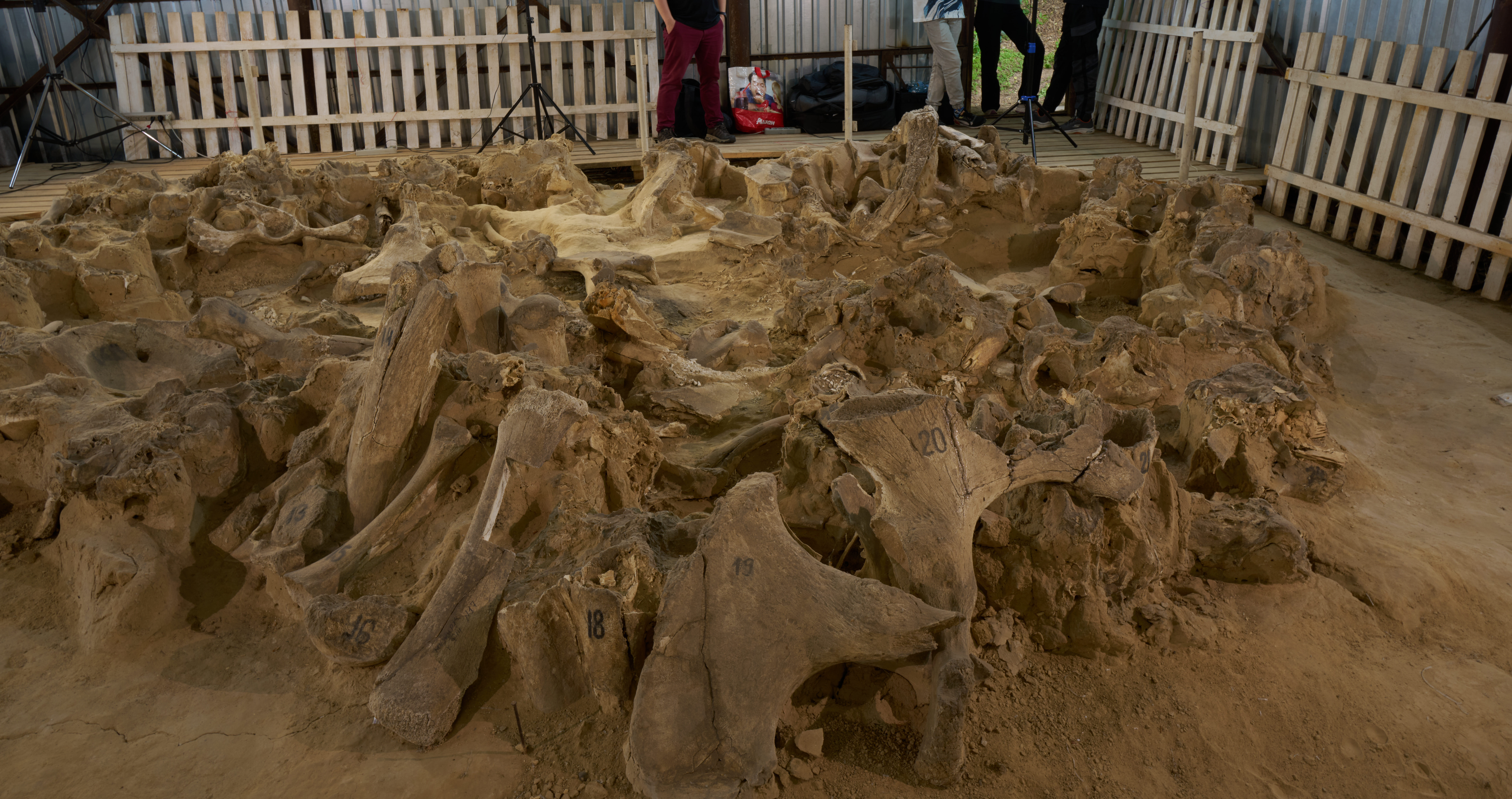 Еxpanding Our Knowledge of Ancient Times: How Modern Technologies Can Broaden Our Understanding of the Past